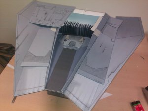 belly13.jpg