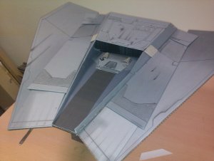 belly14.jpg