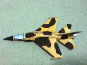 IMG_1733.jpg