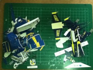 IMG_1736_resize.JPG