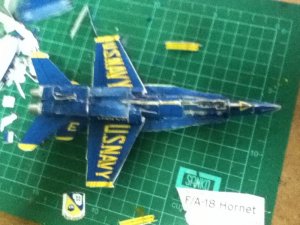 IMG_1764.jpg