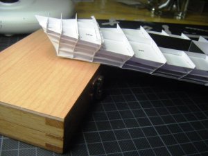 DSCF5338.jpg