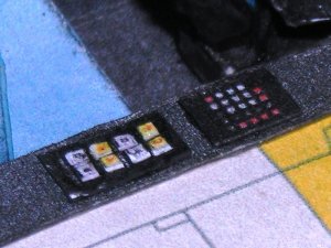 DSCN5174.jpg