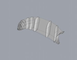 RB10.jpg