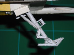 DSCN5221.jpg