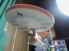 100_0646.jpg