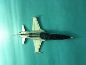 IMG_2218.jpg