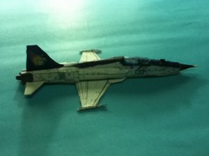 IMG_2222.jpg