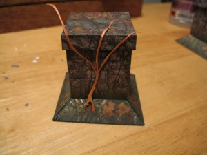 IMG_2577.jpg