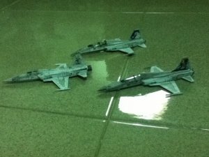 IMG_2250.jpg