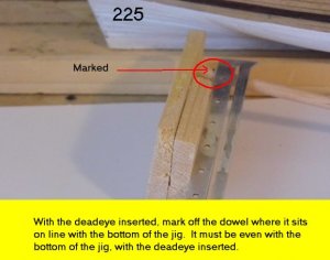 225.jpg