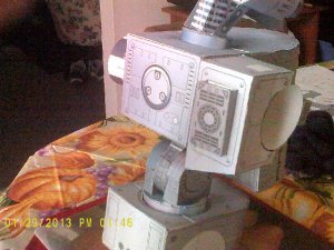 003.JPG