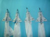 P1100003_resize.JPG