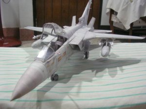 Tornado ADV 38_2.jpg