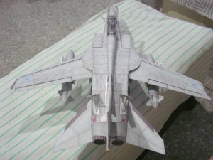 Tornado ADV 29_2.jpg