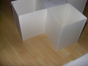 CIMG2931.JPG