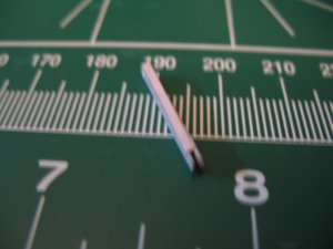IMG_2689.jpg