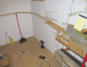 ASLA-1a  CC LV  SE cnr.jpg