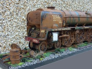 Braunton 6.jpg