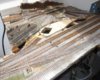 ASLA-1a filler w  ash pit hole 1.jpg