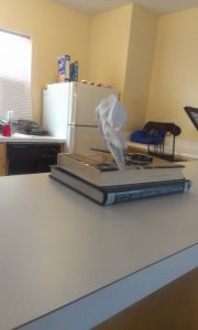 IMAG0428.jpg
