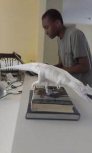 IMAG0429.jpg