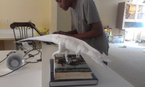 IMAG0430.jpg