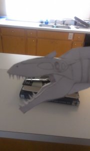 IMAG0431.jpg