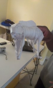 IMAG0432.jpg