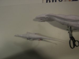 117.jpg