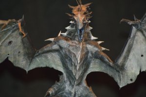 DSC_0172.jpg
