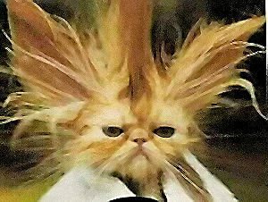 badhair.jpg