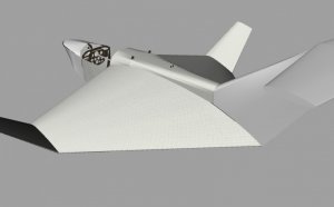Body5.jpg