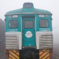 Brazilian_Train_Guy
