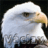 vasek68