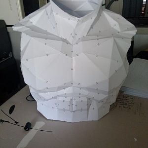 torso