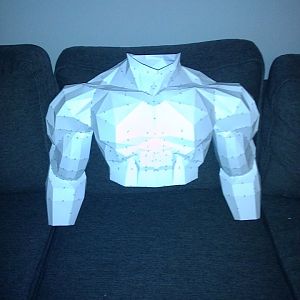 torso and arms
