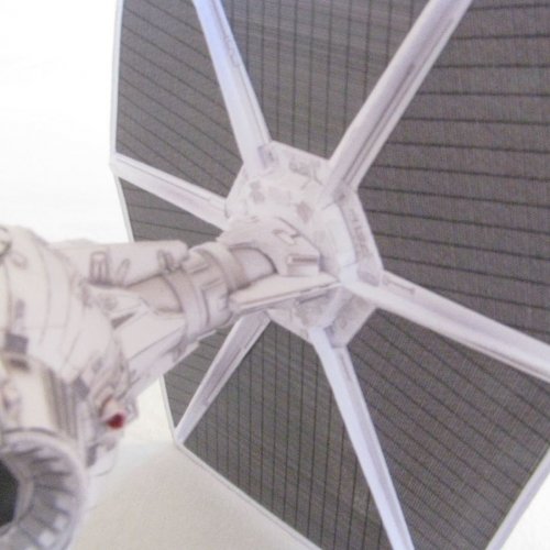Tie wing_55.JPG