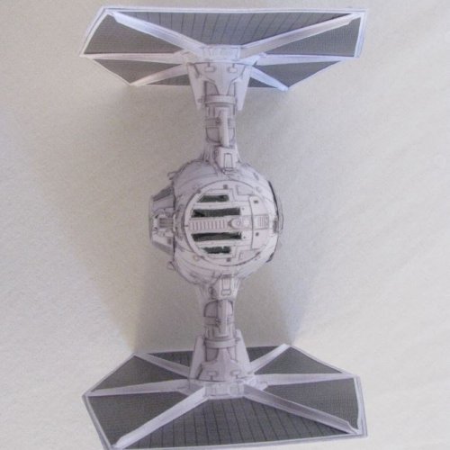 Tie wing_56.JPG