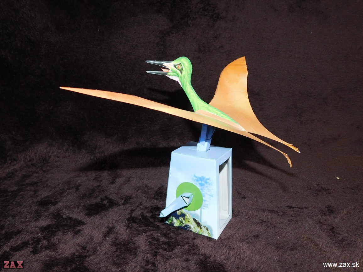 PTERODACTYLUS